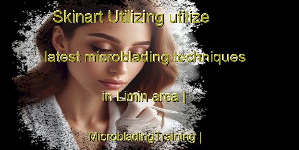 Skinart Utilizing utilize latest microblading techniques in Limin area | MicrobladingTraining | MicrobladingClasses | SkinartTraining-China